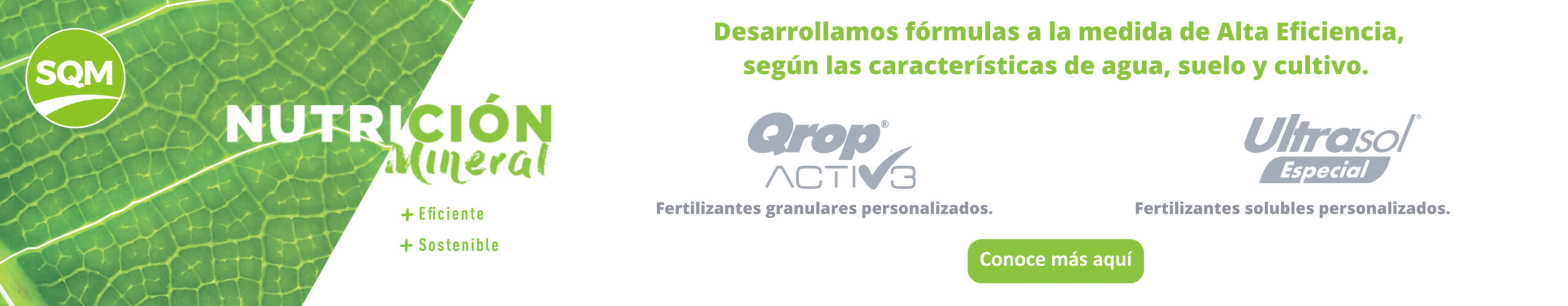 Banner Sostenibilidad